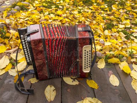 Russian accordion stock image. Image of motherofpearl - 34718393