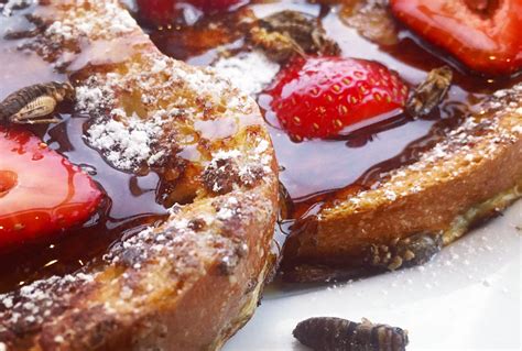 Cricket Flour Spiced French Toast | Cricket Flours