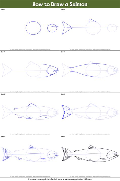 How to Draw a Salmon (Fishes) Step by Step | DrawingTutorials101.com