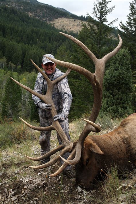 PERRY BERRY BLOG: Colorado Elk