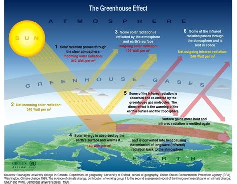 Global Warming and Rising Sea Levels — THE CAPTAIN'S LOG