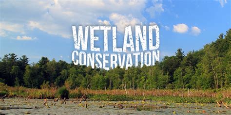 Wetland Conservation - Importance, Threats and Way Forward | UPSC