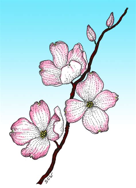 Dogwood Petal Veiner – World of Sugar Art