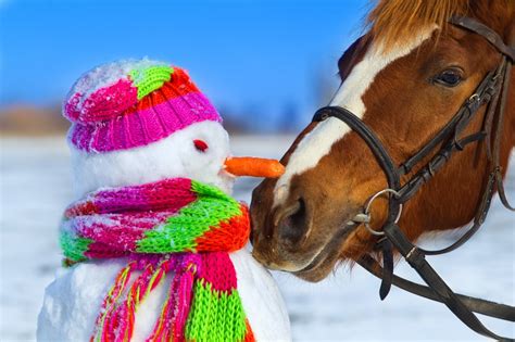 Horse and Snowman jigsaw puzzle in Animals puzzles on TheJigsawPuzzles.com