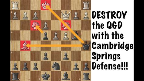 DESTROY the Queen's Gambit with the Cambridge Springs! (Chess Openings) - YouTube