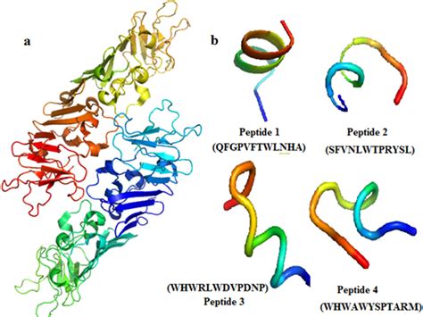 a 3D structure of Dengue virus NS1 protein (PDB ID: 4OIG). b Peptide ...