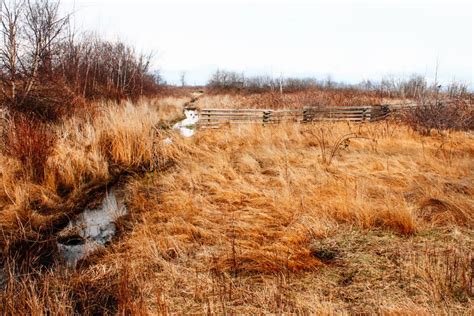 Boundary Bay Regional Park, Tsawwassen | Vancouver Trails