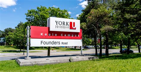 York University Requirements | Fees, Scholarships, Programs, Rankings 2024