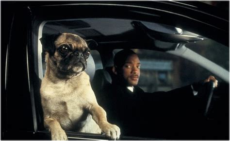 MIB International: Frank the Pug Makes A Comeback