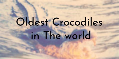 8 Oldest Crocodiles in The World - Oldest.org