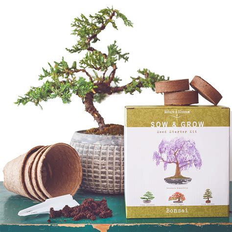 Nature's Blossom Bonsai Tree Seed Starter Kit - Grow 4 Trees from Seed