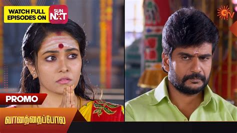 Vanathai Pola Serial Cast