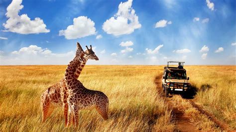 Africa Tour packages | Africa Safari Packages | Africa Holiday Packages