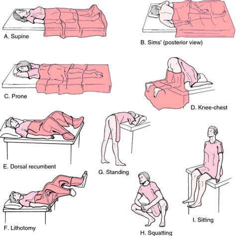 Positioning Patients in the Office for Procedures - Phlebotomy Career ...