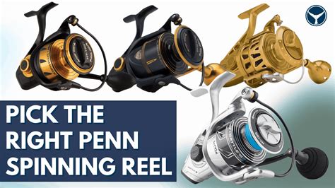 10 Best Penn Spinning Reels Ranked In Order