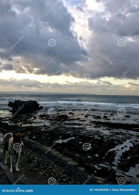 Sunrise over beach in Bali stock photo. Image of sand - 145248450