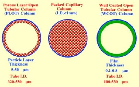 What is the difference between PLOT, packed and WCOT GC column in terms ...