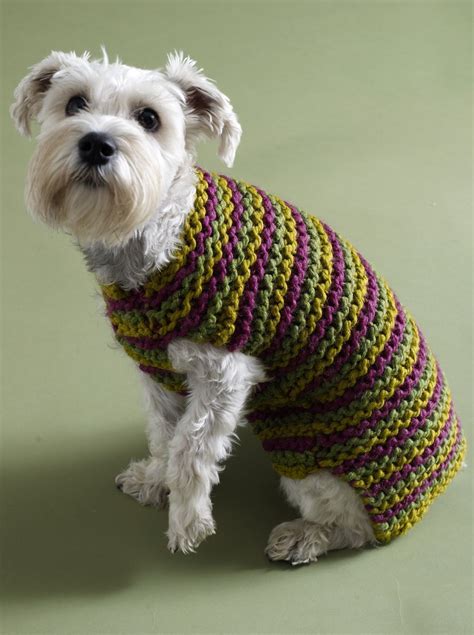 Free doggie sweater pattern | Knitting patterns free dog, Knitting patterns for dogs, Dog ...