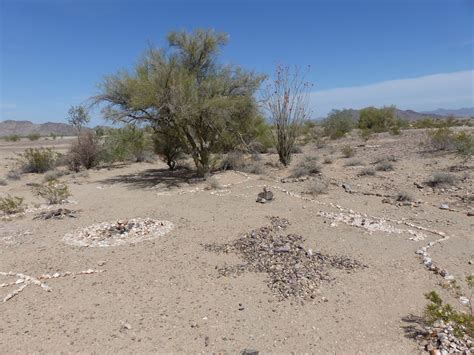 Land Cruising Adventure: Quartzsite, Arizona | Camping in the Desert