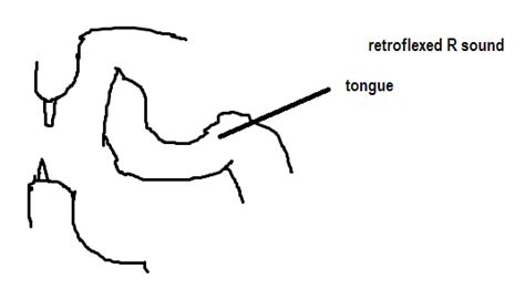 pronunciation - Is an American “r” sound retroflexed or retracted ...