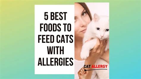 5 Best Cat Food with Allergies In Cats To Feed - Traveling With Your Cat