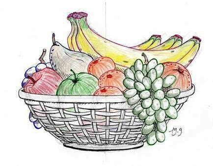 Fruit basket kids drawing | Fruits drawing, Fruit basket drawing, Basket drawing