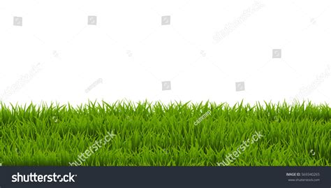 Grass Border Vector Illustration Stock Vector (Royalty Free) 569340265 ...