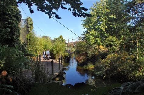 Penguin Coast - Picture of Bristol Zoo Gardens, Bristol - TripAdvisor