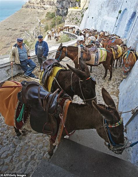 Santorini launches campaign to stop holidaymakers riding donkeys up ...