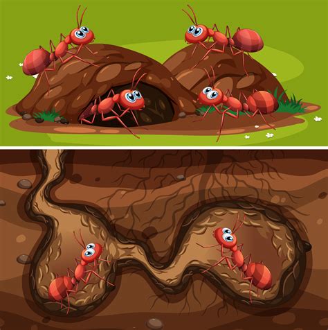 Fire Ants in the Nest 432635 Vector Art at Vecteezy