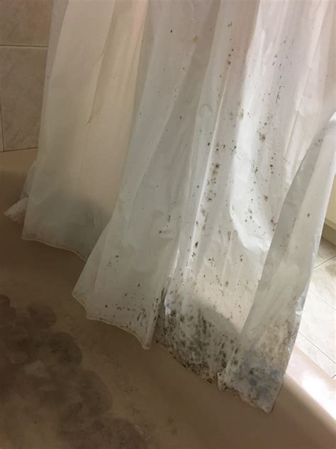 Black spots on my shower curtain.. mold? : r/whatisthisthing