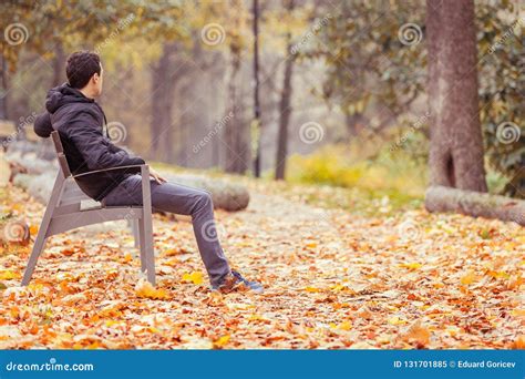 Young Man Sitting on a Bench in a Park Stock Image - Image of emotion ...