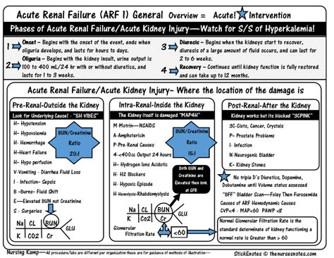 Pre, intra, or post renal Diagram | Quizlet