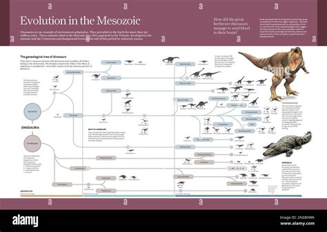 Computer graphics about dinosaur classification and their evolution ...