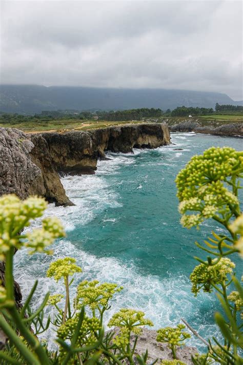 Cliffs of Northern Spain, in Asturias, Seen through Cliff Vegetation ...