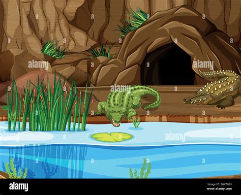Swamp Alligator Drawings