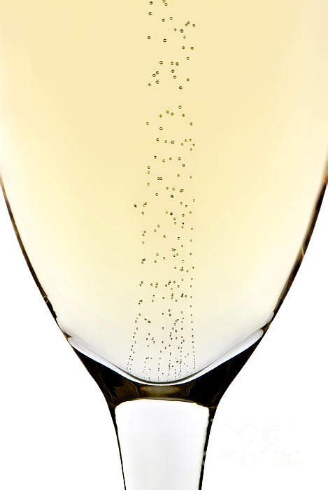 Bubbles in champagne Art Print by Johan Swanepoel | Wine wall art, Wine, Champagne