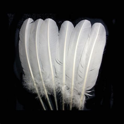 White Turkey Feathers Pkg of 4 White Feathers White Big - Etsy