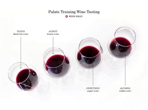 DIY Palate Training Wine Tasting | Wine Folly