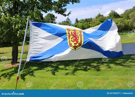 Flag of Nova Scotia stock image. Image of graphic, national - 227363571