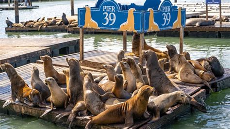 This Fun-Filled Pier Is One Of The Top Tourist Destinations On The West Coast