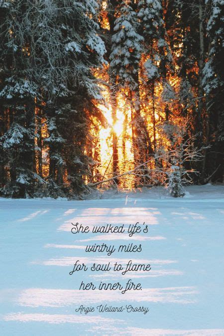 Beautiful Winter Pictures, Snowy Pictures, Winter Images, Nature Pictures, Forest Quotes, Nature ...