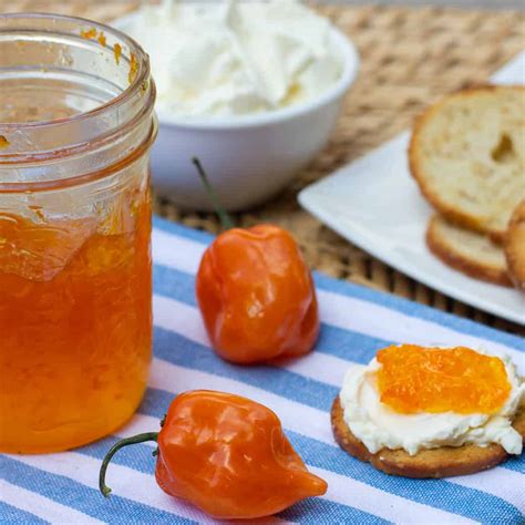 Sweet Red Pepper Jelly Recipe