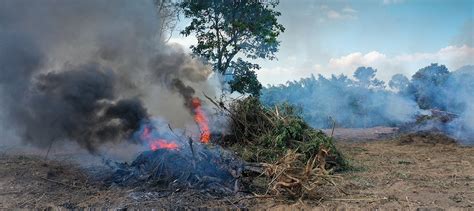 The Amazon Rainforest is on Fire...Again