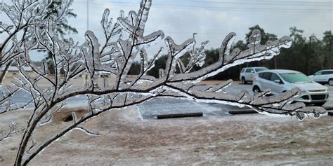 How much ice is needed to knock out power, damage trees? | Fox Weather