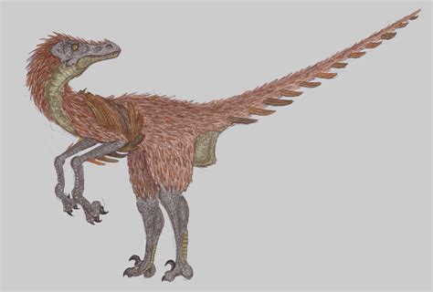 Feathered Velociraptor by pokerpete on DeviantArt