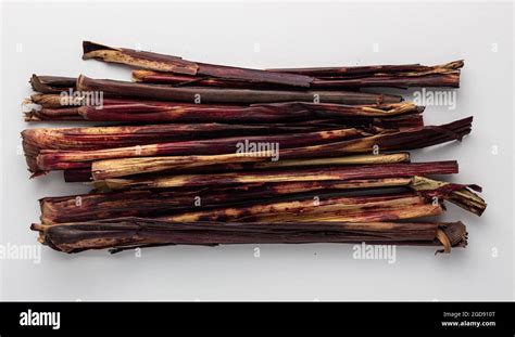 Ghana Waakye leaves. Sorghum bicolor stalks used for Ghanaian food Stock Photo - Alamy