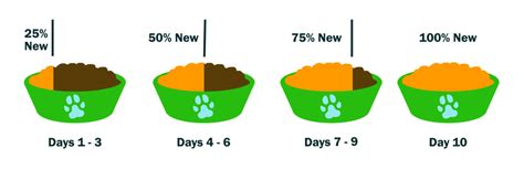 Feeding Guidelines – Dogs For The Earth