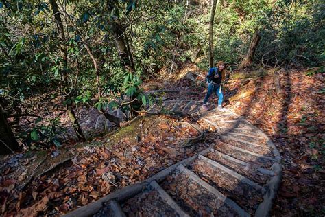 Abrams Falls Trail: The Best Waterfall Hike in Great Smoky Mountains ...