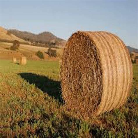 Round Hay Bales